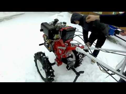 Видео: Привез помощника в хозяйство...