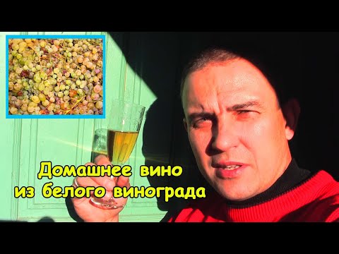 Видео: Вино из белого винограда в домашних условиях
