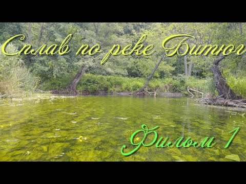 Видео: Сплав по реке Битюг. 8 дней на чистейшей реке.