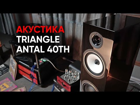 Видео: Акустическая система Triangle Antal 40th и как ее правильно слушать