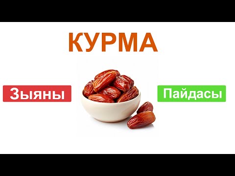 Видео: Билип Ал:  Курма (финики) пайдасы жана зыяны
