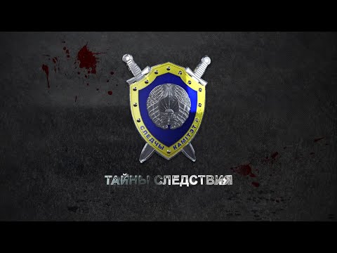 Видео: "Черные лесорубы": как организованные группы вырубали леса в Беларуси? Тайны следствия