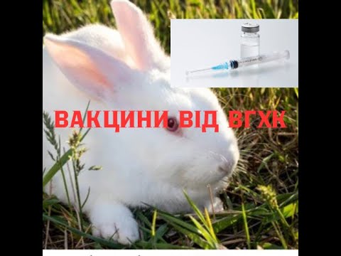 Видео: Вакцини від вгхк