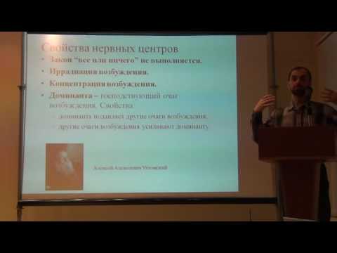 Видео: Общая физиология ЦНС 2