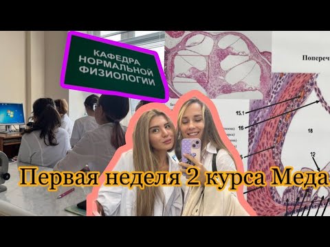 Видео: Первая неделя 2 курса в Медицинском Университете 🩺❤️