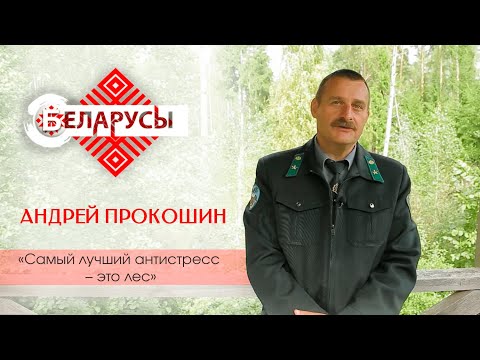 Видео: Березинский заповедник: о дикой природе и местах, где не ступала нога человека