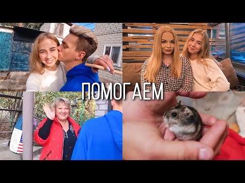 Видео: ПОМОГАЕМ МАМЕ АРТЁМА НА ДАЧЕ ||  ВСТРЕЧА С ДАВНЕЙ ПОДРУГОЙ || РЕАКЦИЯ ТЁМЫ НА НАШЕГО ХОМЯКА
