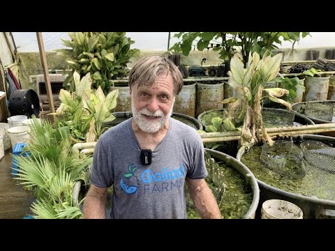 Видео: День 13 восстановления — SCUDS! — Всё, что вы хотели знать