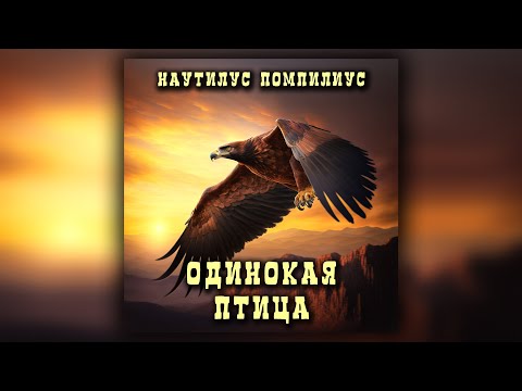 Видео: Наутилус Помпилиус - Одинокая птица (кавер)