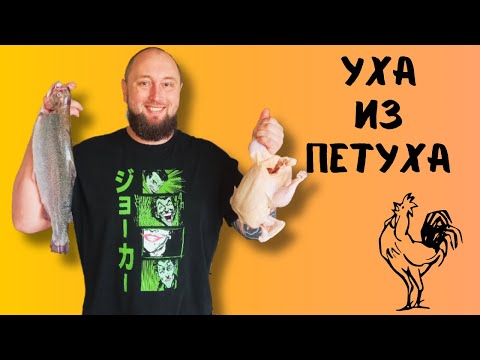 Видео: Уха из петуха