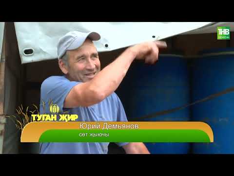 Видео: Туган җир 21/06/24