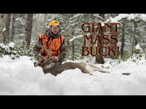 Видео: Самый безумный день отслеживания?!