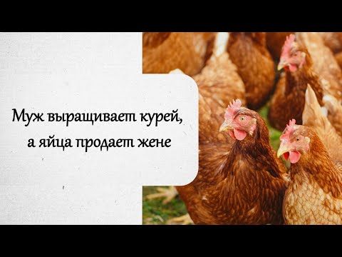 Видео: Очень странные отношения мужа и жены. История из жизни.