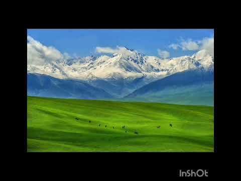 Видео: 2025 ж. 8 тамыз