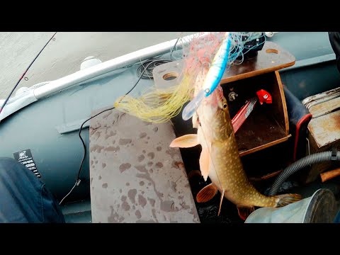 Видео: ЗАКРЫЛИ СЕЗОН! РЫБАЛКА ТРОЛЛИНГОМ В НОЯБРЕ