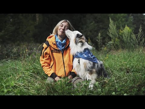 Видео: Интервью с руководителем кинологического направления ЛизаАлерт.