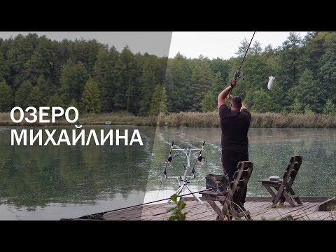 Видео: Ловля коропа на сливу / Скажені дуплети лісового озера / Битва з корчами