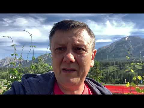 Видео: Почему нельзя выращивать фрукты и ягоды , собрали первый урожай . 22 июня 2024 г.