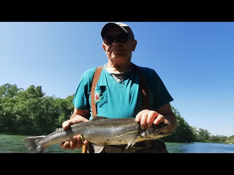 Видео: Мчим за рыбой