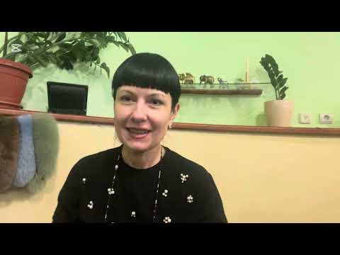 Видео: Как начать бизнес в Болгарии, нюансы