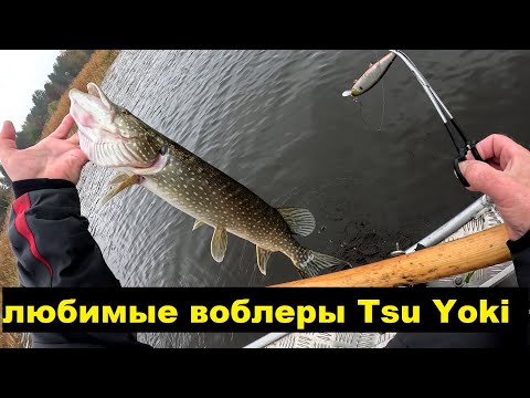Видео: Любимые воблеры Tsu Yoki.