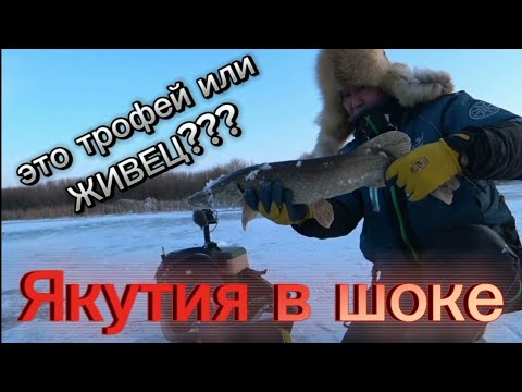 Видео: Якутия & Казахстан совместная рыбалка на озере Николаевка первый лёд 2023-2024.