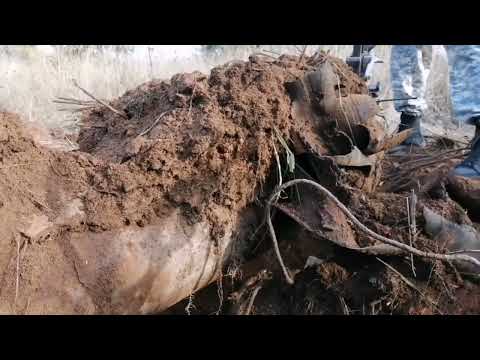 Видео: САМАЯ ДОРОГАЯ НАХОДКА! КОП МЕТАЛЛА С МЕТАЛЛОИСКАТЕЛЕМ.
