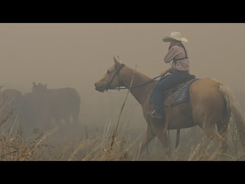 Видео: (Сезон 1 - Э1) «Ридс-Крик»