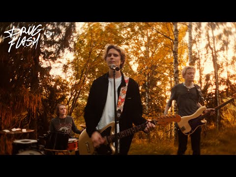 Видео: DRUG FLASH - ПТИЦЕЙ