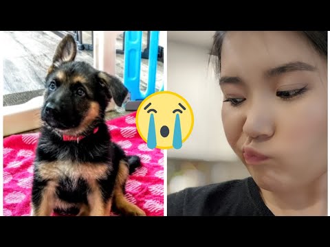 Видео: Төрсний дараах хямрал шиг л юм болж байна даа.😔🥺 Влог 81