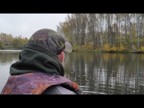 Видео: Щука на кружки Осенью.Костер и прекрасная природа.