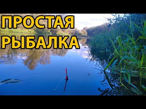 Видео: Рыбалка на поплавок на реке Медведица.