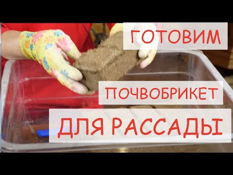 Видео: КАК ПОДГОТОВИТЬ ПОЧВОБРИКЕТ  БИОМАСТЕР ДЛЯ РАССАДЫ.