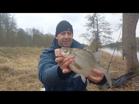 Видео: ,,Вот это клев,, Весення ловля ЛЕЩА