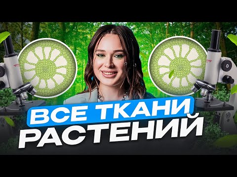 Видео: Как ЛЕГКО запомнить все ткани растений? / Простая схема для ЕГЭ по биологии!