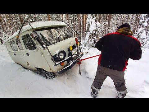 Видео: УАЗ БУХАНКА по зимнику за валежником по лесному закону / uaz off road