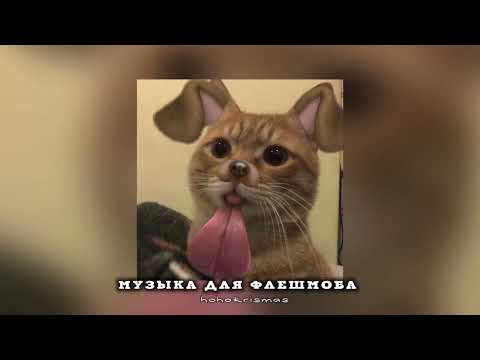 Видео: музыка для флешмоба/песни из тик тока