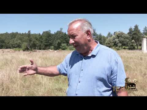 Видео: Те Победиха: Осман Ибрямов: От шега до успешна семейна мандра с 180 елитни крави