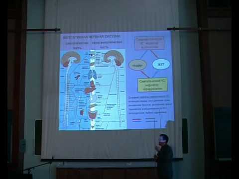 Видео: Принципы передачи информации в нервной системе