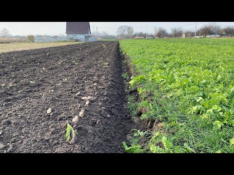 Видео: Закриваємо сезон оранки Case JX110+ LEMKEN Opal 110. Приорюємо сидерат!