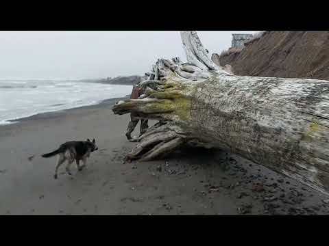 Видео: Большой поселок, который смыло наводнением.