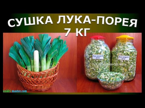 Видео: Сушка лука-порея – 7 кг.