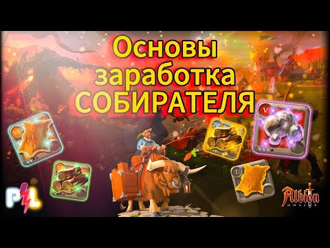 Видео: Основы заработка Собирателя в Albion Online для НОВИЧКА | #albiononline #proleto #mmorpg