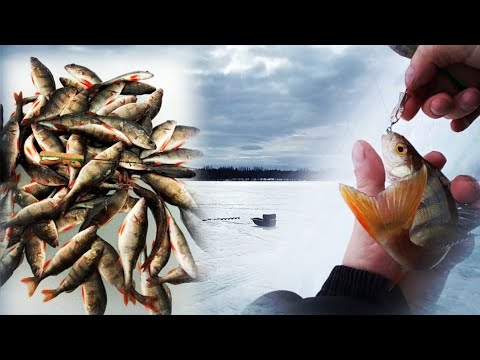 Видео: РЫБАЛКА В КОНЦЕ МАРТА НА ЛЕСНОМ ОЗЕРЕ.ЗАКРЫТИЕ ЗИМНЕГО СЕЗОНА РЫБАЛКИ.