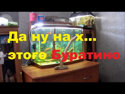 Видео: Коряга в аквариум | Как утопить корягу | Камни в аквариуме | Сверлим кмень из Волги | Бл...Это жесть