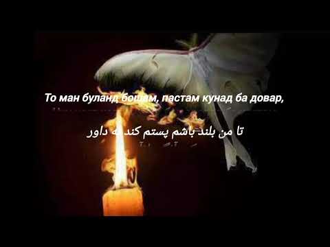 Видео: Мавлоно-مولانا