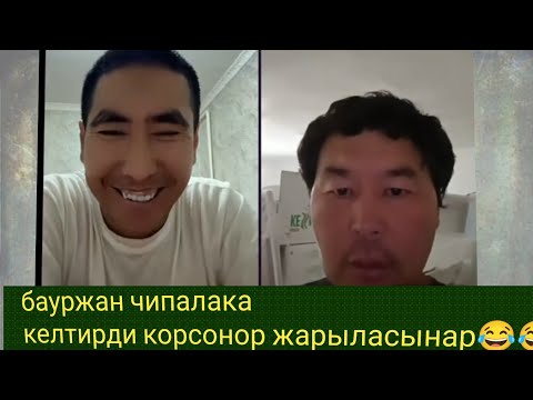 Видео: Бауржан чипалака не качан жукур шумшук дейби