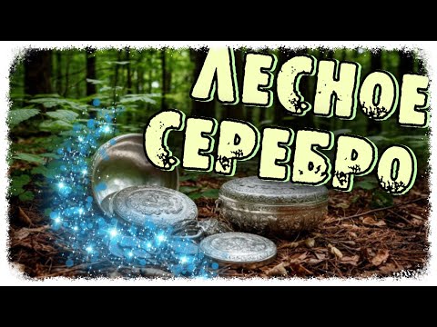 Видео: В ПОИСКАХ ЛЕСНЫХ СЕЛИЩ / ЛЕС ДАРИТ СЕРЕБРО!