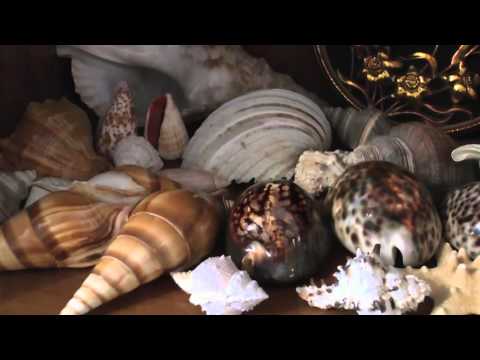 Видео: Памяти командира корабля БПК  "Адмирал Нахимов"