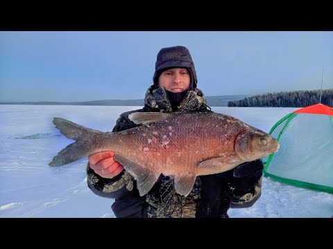 Видео: ПОД ЭТИМИ ЛУНКАМИ ЖИВУТ КРАКЕНЫ! РЫБАЛКА НА БЕЗМОТЫЛКУ ЛЕЩ